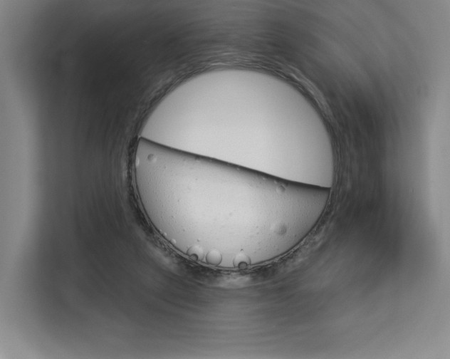 X0000113080257200908280953