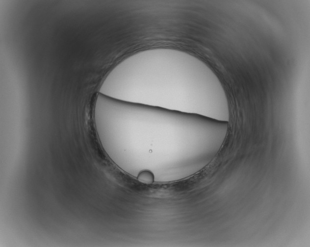 X0000113080259200908280953