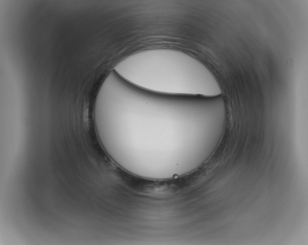 X0000113080267200908280953