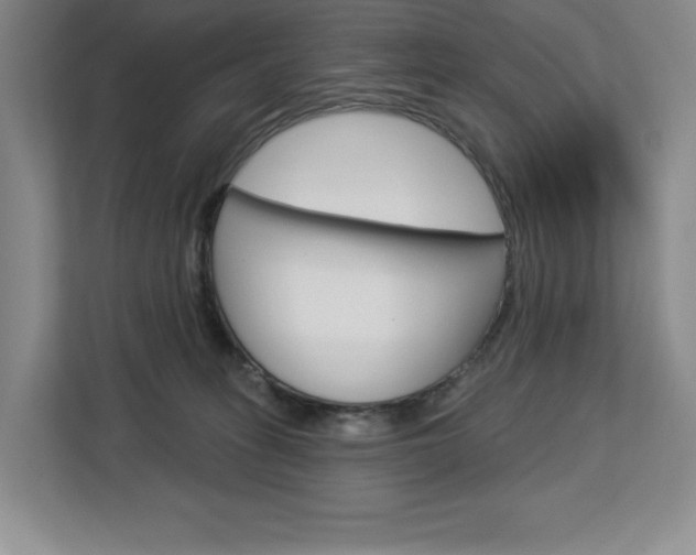 X0000113080275200908280953