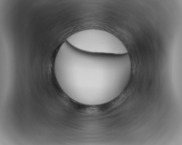 X0000113080279200908280953