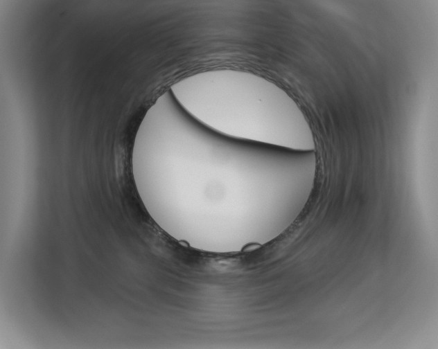 X0000113080283200908280953