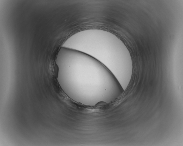 X0000113080284200908280953