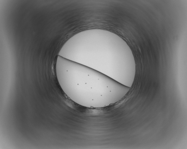 X0000113080286200908280953