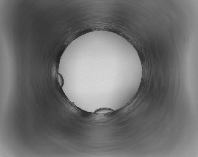 X0000113080287200908280953