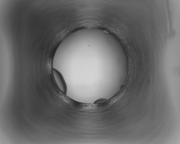 X0000113080288200908280953