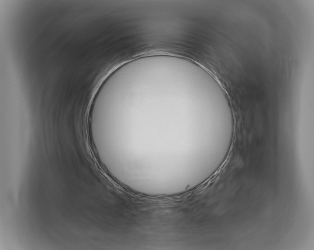 X0000113080289200908280953