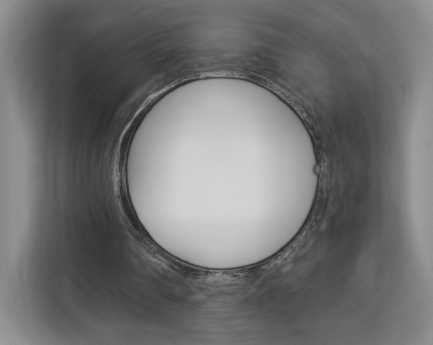 X0000113080290200908280953
