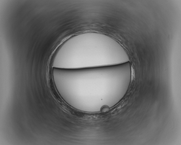 X0000113080291200908280953