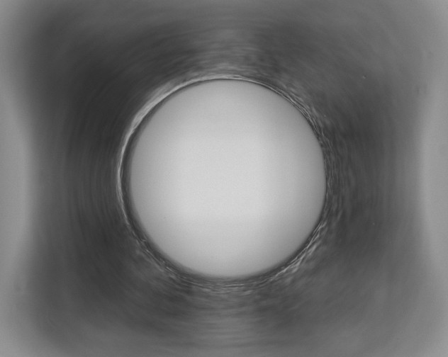 X0000113080292200908280953
