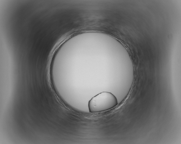 X0000113080293200908280953