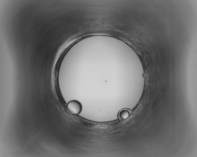 X0000113080294200908280953