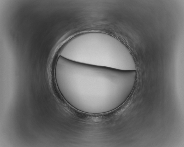 X0000113080295200908280953
