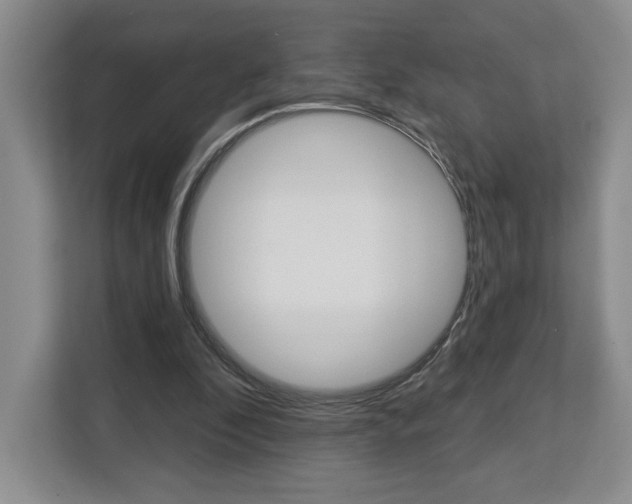 X0000113080296200908280953