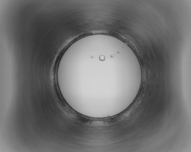 X0000113080298200908280953