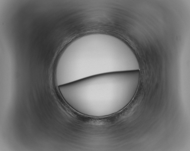 X0000113080299200908280952