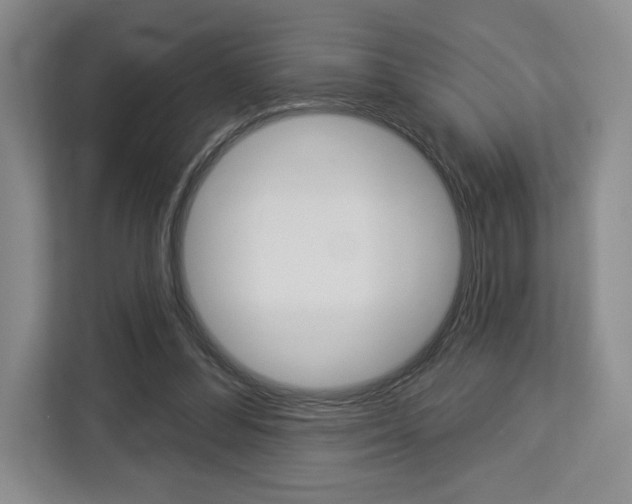 X0000113080300200908280952