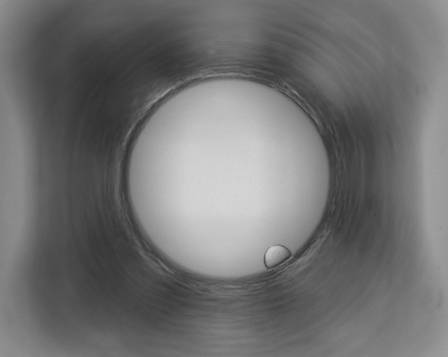 X0000113080301200908280952