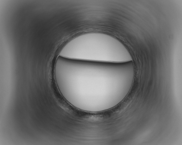 X0000113080303200908280952