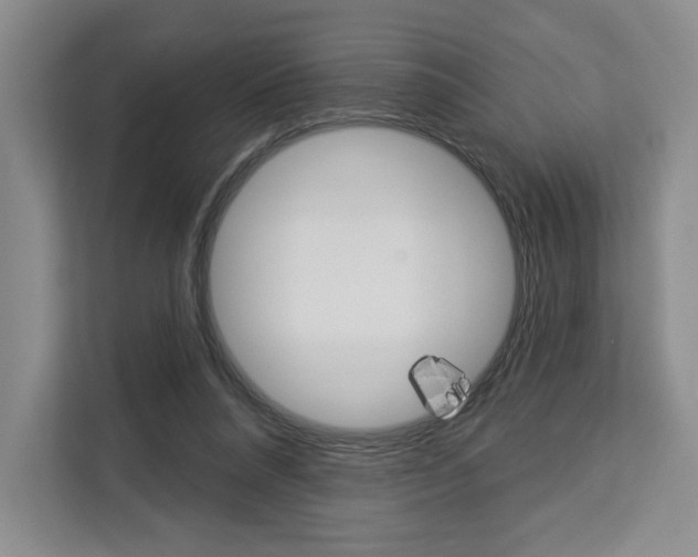 X0000113080304200908280952