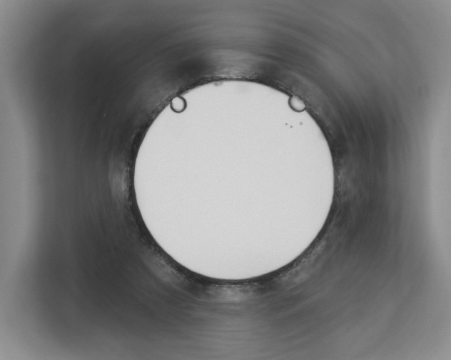 X0000113080305200908280952