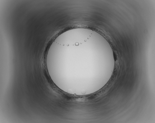 X0000113080306200908280952