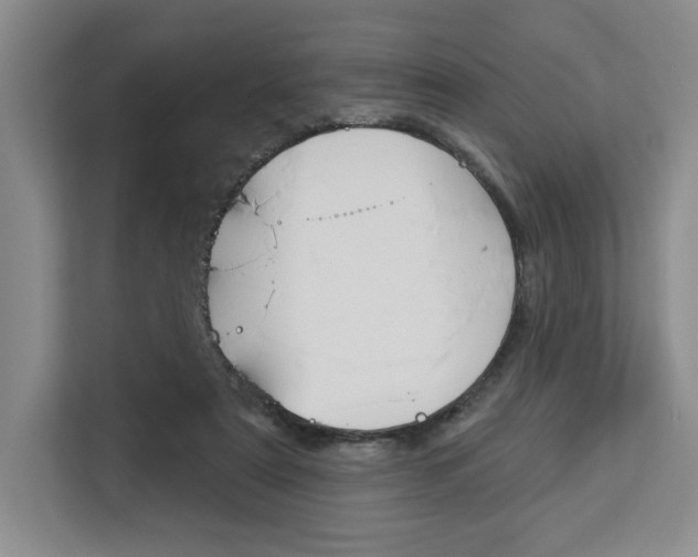 X0000113080307200908280952