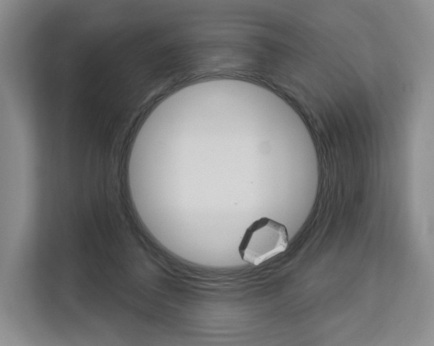 X0000113080308200908280952