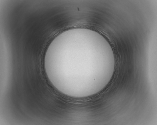 X0000113080309200908280952