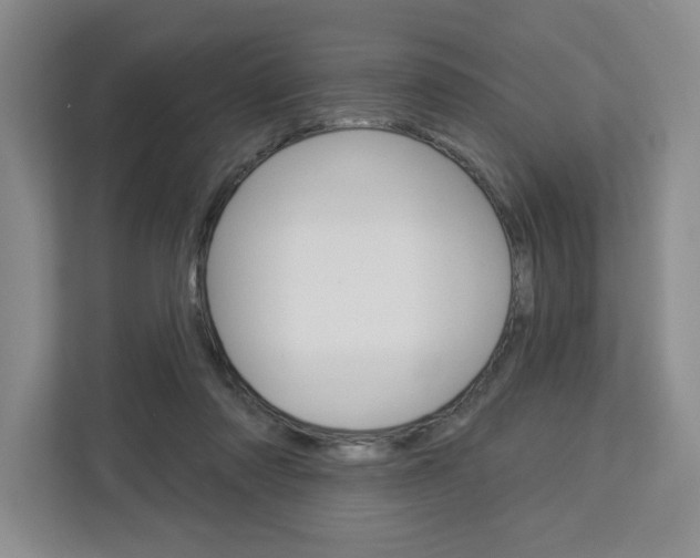 X0000113080310200908280952