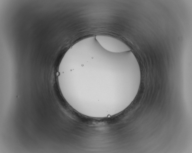 X0000113080311200908280952