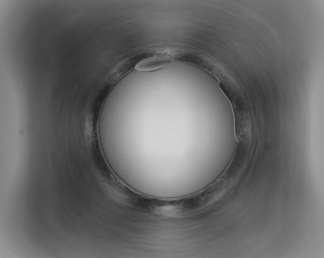 X0000113080312200908280952