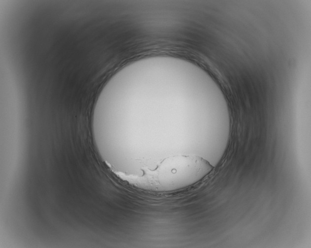 X0000113080313200908280952