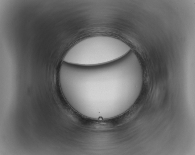 X0000113080315200908280952