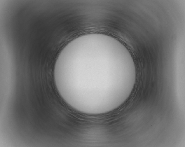 X0000113080317200908280952