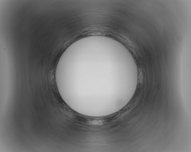 X0000113080318200908280952