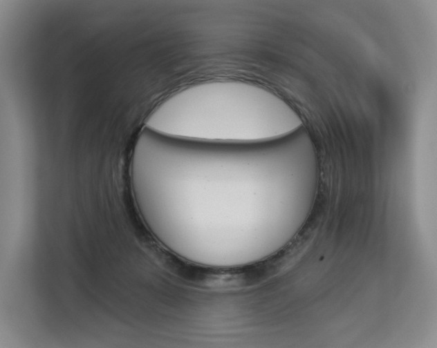 X0000113080319200908280952