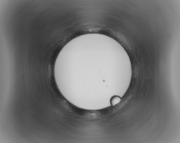 X0000113080321200908280952