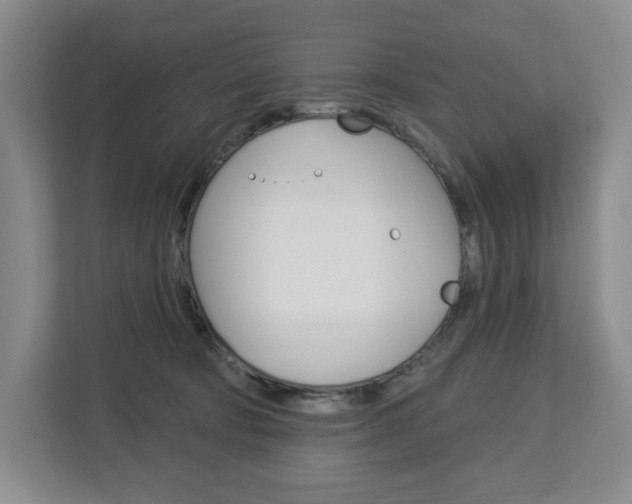 X0000113080322200908280952