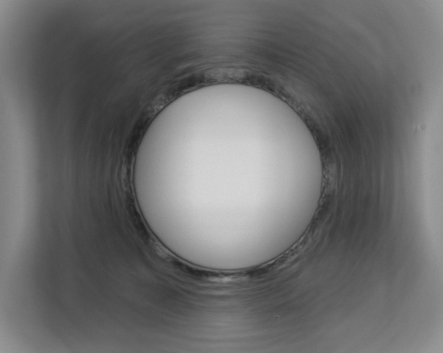 X0000113080323200908280952