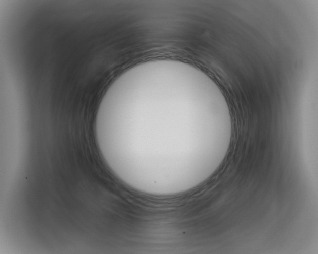 X0000113080324200908280952