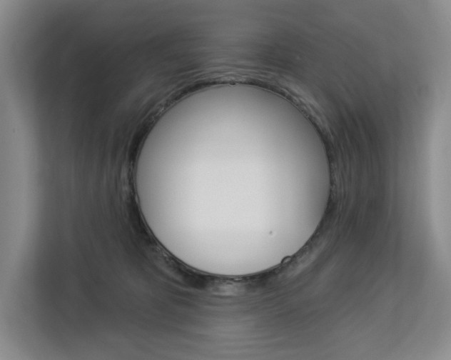 X0000113080325200908280952