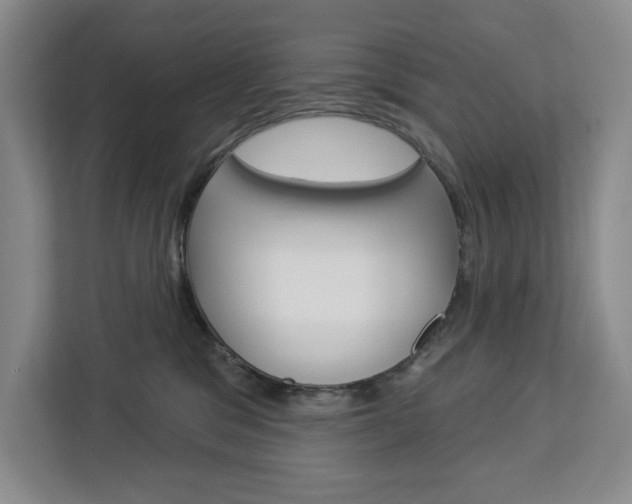 X0000113080329200908280952