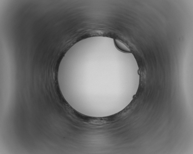 X0000113080331200908280952