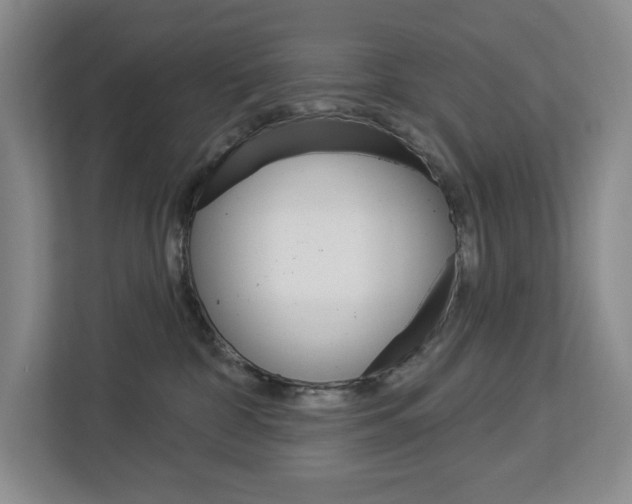 X0000113080332200908280952