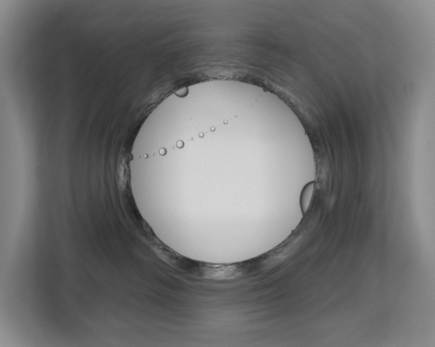 X0000113080334200908280952