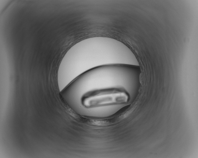 X0000113080336200908280952