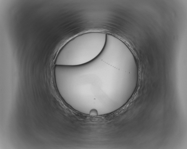 X0000113080337200908280951
