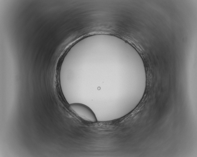 X0000113080338200908280951