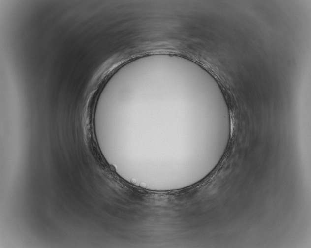 X0000113080339200908280951